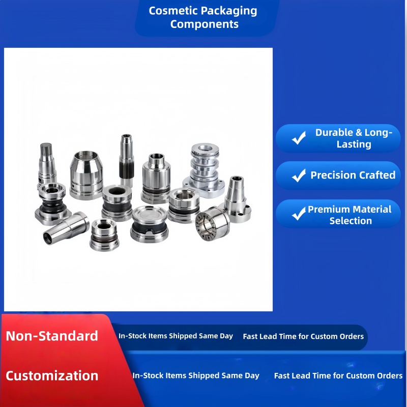 Mold Core Parts, Pump Body Mirror Inserts for Cosmetic Packaging, Injection Mold Components