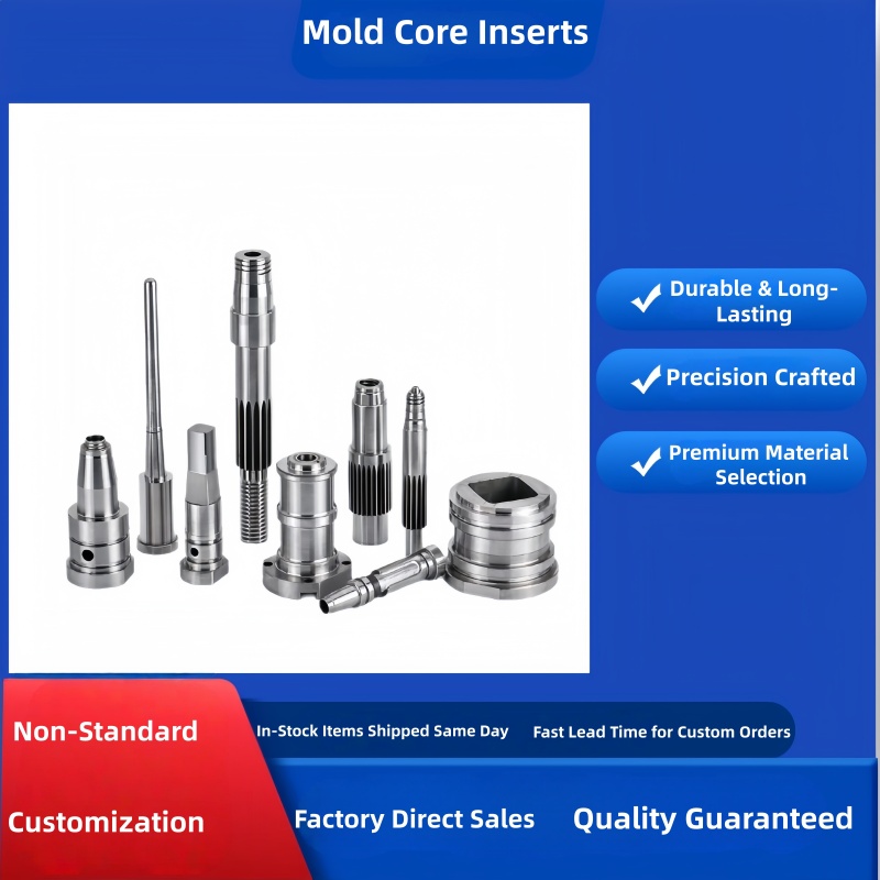 Custom Machined Core Inserts, Precision Non-Standard Thread Inserts, High Surface Finish & Wear Resistant